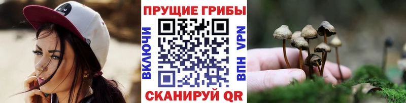 Псилоцибиновые грибы GOLDEN TEACHER  Новое Девяткино 